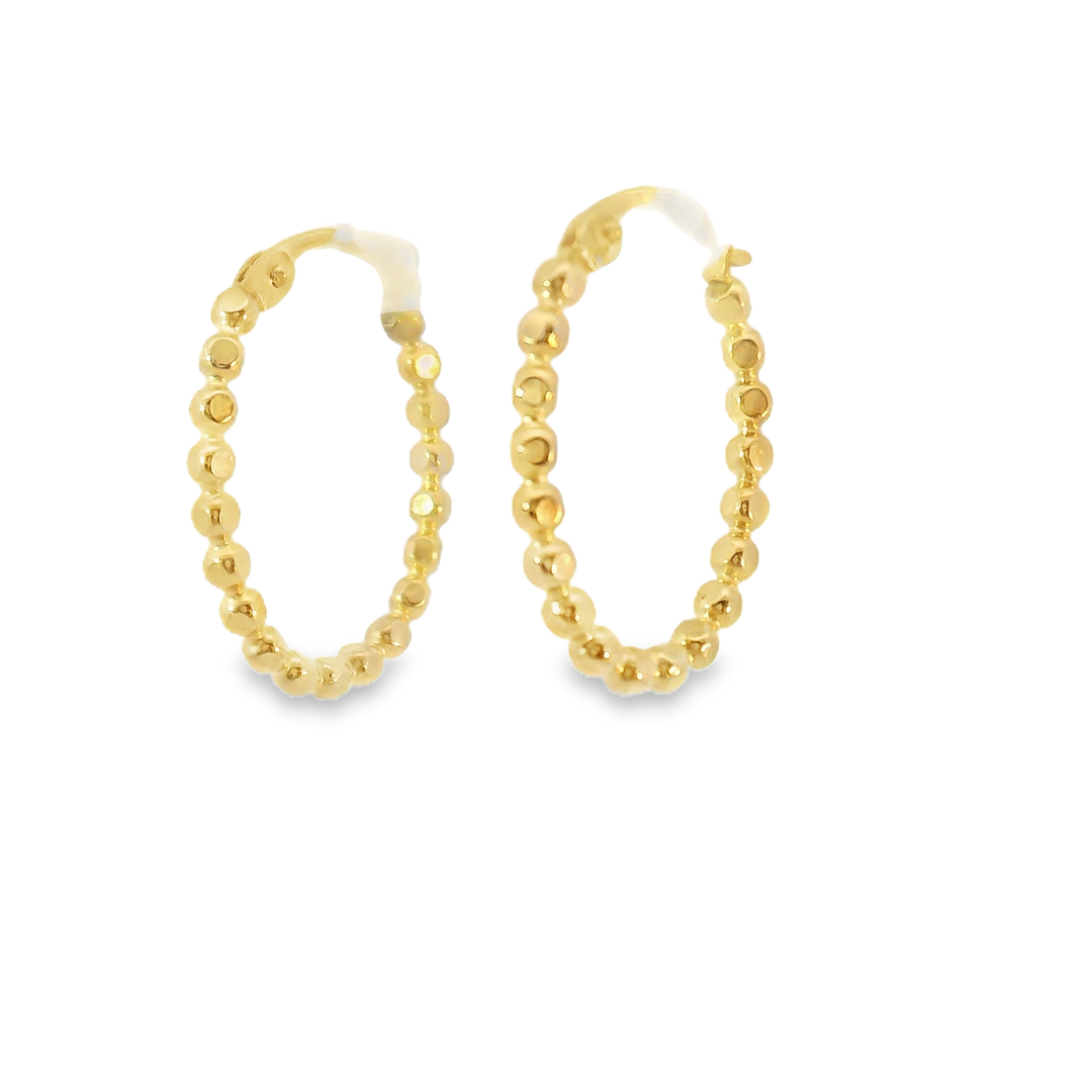 Elegant Gold Filled Hoop Earrings