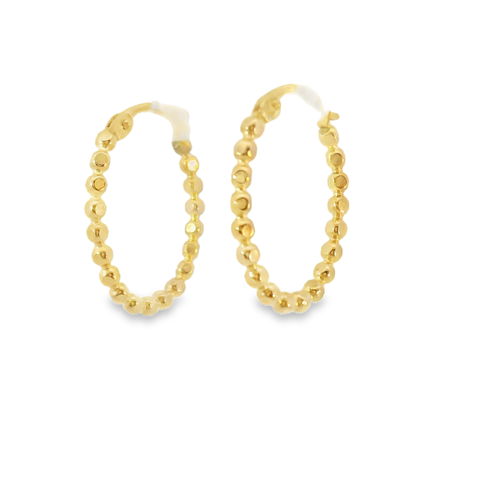 Elegant Gold Filled Hoop Earrings