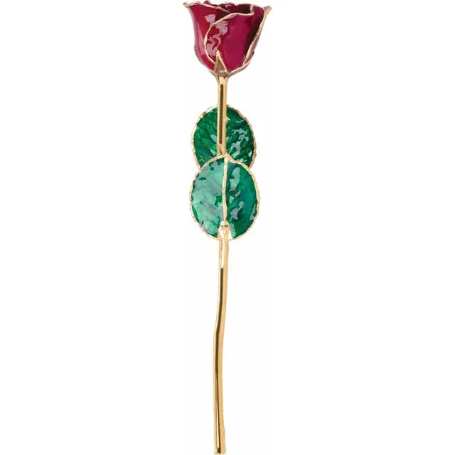 Lacquered Red Rose with Gold Trim