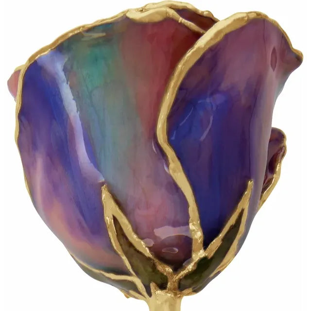Lacquered Multi-Color Rose