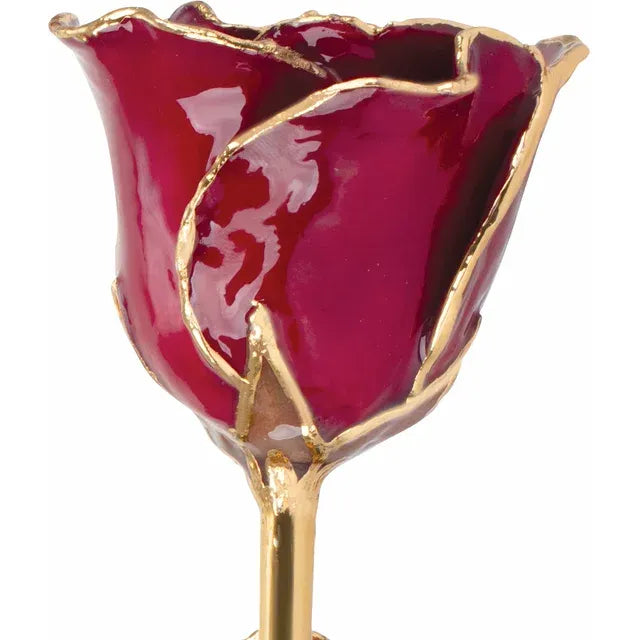 Lacquered Red Rose with Gold Trim